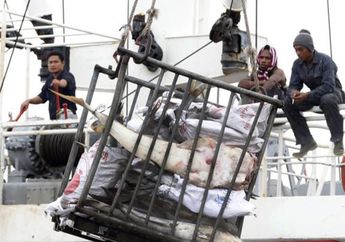 Perbudakan di Balik Industri Perikanan Dunia