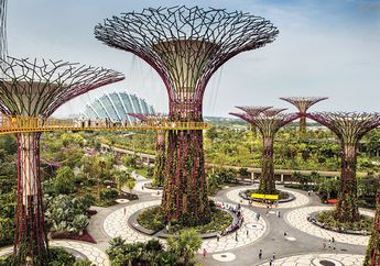 Supertree