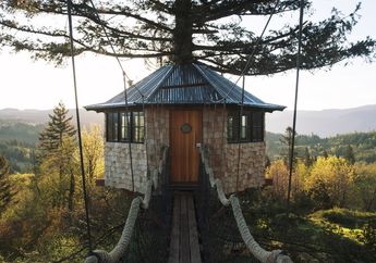 The Cinder Cone, Rumah Pohon Seperti di Negeri Dongeng