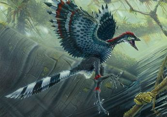 Para Leluhur Burung Ternyata Dinosaurus yang Belajar Terbang
