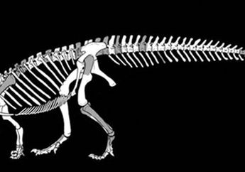 Peneliti Temukan Fosil Dinosaurus Bernama <i>Sefapanosaurus</i>