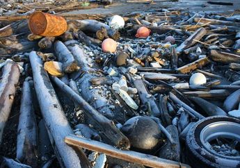 Puing-Puing dari Tsunami Jepang Menggunung di Pesisir Alaska