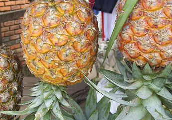Mengapa Kita Harus Menyantap Buah Nanas Setiap Hari?