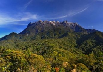 Pegunungan tropis, 'Buaian' Dimana Spesies Baru Lahir dan Berkembang