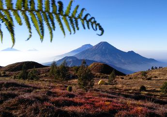 Pesona Lanskap Gunung Prau