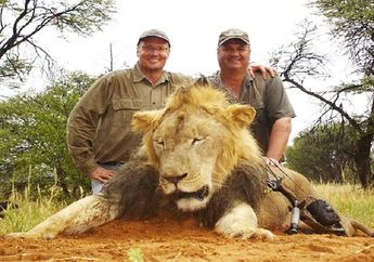 Pembunuh Singa <i>Cecil</i> Akan Kembali Bekerja
