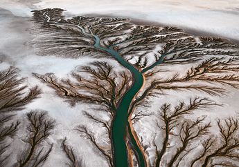 Delta Sungai Colorado