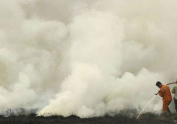 'Aktor-Aktor' di Balik Pembakaran Lahan dan Hutan