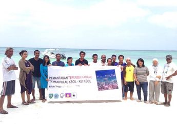 Pantau Terumbu Karang di Pulau Kei Kecil