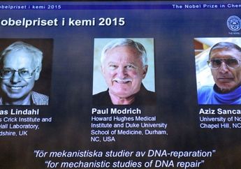 Tiga Ilmuwan Memenangkan Nobel Kimia untuk Penemuan atas Perbaikan DNA