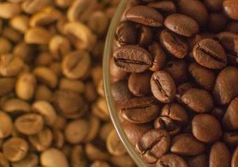Rahasia Kopi yang Nikmat? Sebelum Diracik, Dinginkan Bijinya
