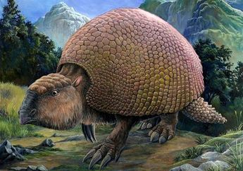 Karapas Armadilo Prasejarah ditemukan di Argentina