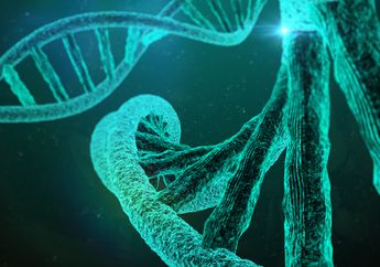 Masih Berusaha Mengidentifikasi Korban Perang, Vietnam Tingkatkan Pusat Pengujian DNA