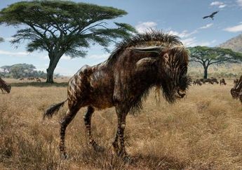 Rusa Kutub yang Memiliki Kaitan dengan Dinosaurus
