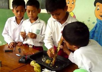 Anak-anak Madrasah Ini "Sulap" Mengkudu Menjadi Baterai Alternatif