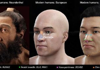 Empat Gen Pembentuk Hidung Teridentifikasi