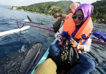 Berjumpa Hiu Paus di Pantai Botubarani Gorontalo