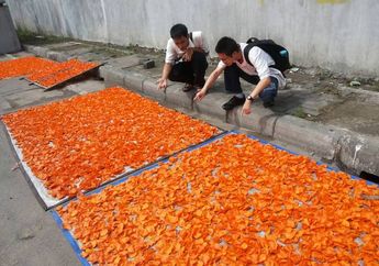 Solarifish Box, Tempat Menjemur Ikan nan Efisien