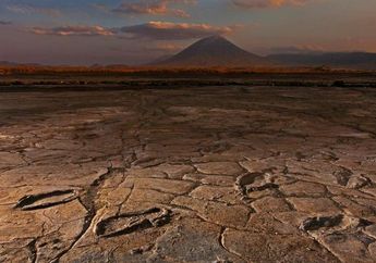 Jejak Kaki Manusia Purba Kembali Ditemukan di Afrika Selatan