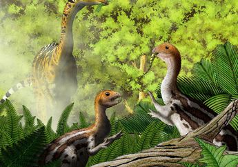 Spesies Dinosaurus Ini Jadi Ompong Setelah Beranjak Dewasa