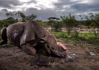 Tiga Fotografer National Geographic Raih Penghargaan di Kontes World Press Photo