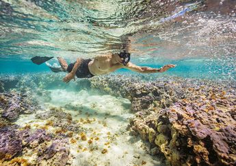 Snorkeling Bersama Presiden