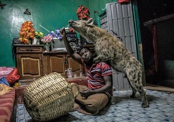 Kisah Menakjubkan tentang Manusia yang Hidup dengan Para Hiena