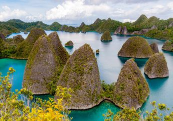 Di Balik Keindahan Raja Ampat, Ada yang Miskin dan Telantar