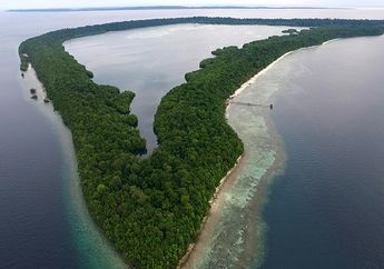 Sensasi Pulau Kakaban yang Pantang Dilewatkan