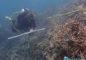Pemanasan Global Mengubah Great Barrier Reef