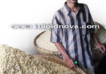Aneka Keripik Oleh-oleh Malang (2)
