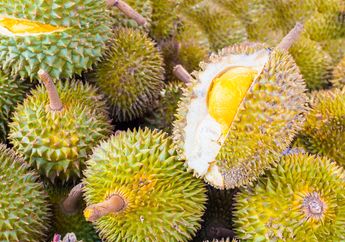 Belum Sah Jadi Penyuka Durian Bila Belum Coba Durian Khas Gunungkidul Yogyakarta Ini