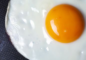 Ini Deretan Fakta Putih Telur Bermanfaat Bagi Kesehatan Tubuh, Nomor 1 Sangat Baik untuk Perempuan