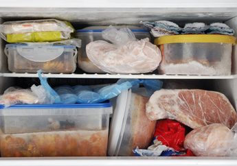 Sebelum Menyimpan Makanan ke Dalam Freezer, Perhatikan Beberapa Hal Ini Terlebih Dahulu