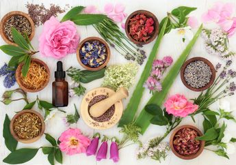 Ingin Turunkan Berat Badan Lebih Cepat? Coba Deh Konsumsi Bahan Herbal Rumahan Ini