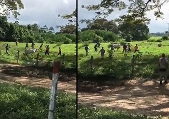 Miris! Sekelompok Warga Alami Kelaparan hingga Rela Lempari Ternak dengan Batu sampai Mati