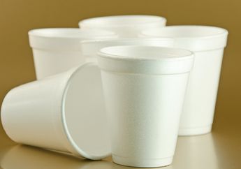 Ini Dia Faktanya! PS-Foam alias Styrofoam Bisa Didaur Ulang dan Menunjuang Perekonomian