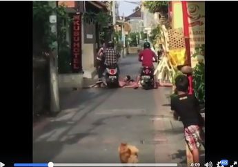 Viral! Diduga Mabuk Usai Berpesta, 2 Wisatawan Asing Dilindas Motor Karena Berjemur di Jalanan