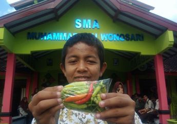 Demi Sekolah dan Bantu Orangtua, Pelajar SMA Ini Tak Malu Jualan Cabai Sepulang Sekolah