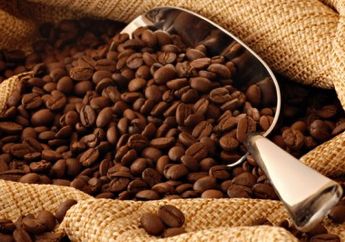 Liberika dan Ekselsa, Kopi yang Terpinggirkan