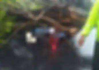 Nahas, Pemotor Lagi Jalan Pas Badai, Tiba-tiba Ketiban Pohon Tumbang