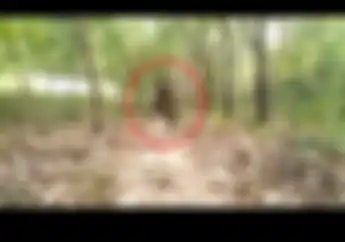 Ngakak! Video Detik-detik Ada Yang Melayang Saat Freestyle di Tengah Hutan