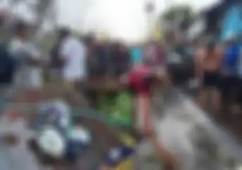 Pohon Tumbang Mendadak, Pemotor Tak Bisa Ngelak dan Tepat Menimpanya