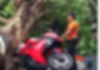 Sayang Banget! Kawasaki Ninja 250 Ketiban Pohon, Roda Depan Mencuat