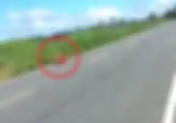 Video Joki Balap Liar Hilang Kendali Terpelanting di Aspal, Motor Mental ke Kebun