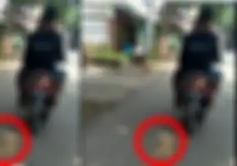 Sakit Jiwa Nih, Pelaku Penyeret Kucing di Jalanan Pakai Motor Mengaku Dapat Bisikan Gaib