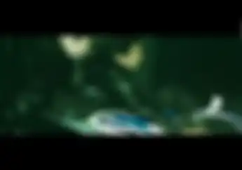 Ini Video Bukti Ariel NOAH Senang Motor, Dari Awal Band Mau Beken