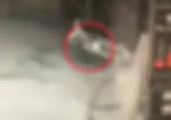 Merinding! Yamaha Mio Jalan Sendiri Di Pagi Buta, Gak Ada Yang Naikin