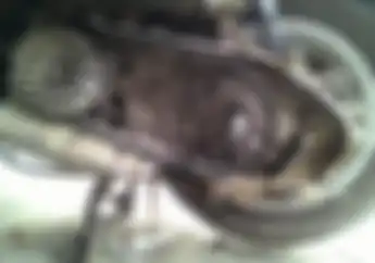 Enggak Cuma Jepangan, CVT Motor Matic Vespa Juga Banyak Alami Gredek, Ini Penyebabnya