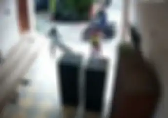 Lihat Video Ini Orang Tua Harus Waspada, Maling Bermotor Sasar Anak-anak, Sekali Tarik Putus